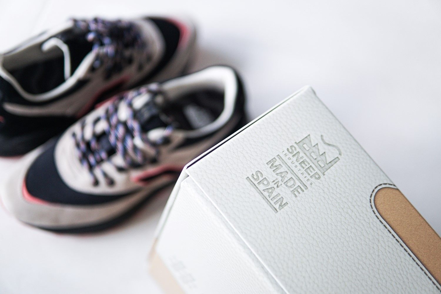 The Sneaker and the Box
